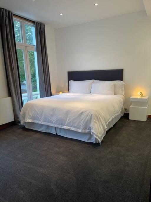 Designer 2 Bedroom Pimlico 伦敦 外观 照片